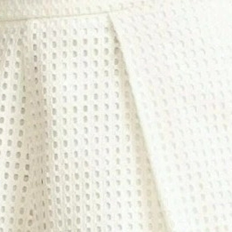 New Anthropologie Twelfth Street by Cynthia Vincent White Eyelet Pleated Shorts