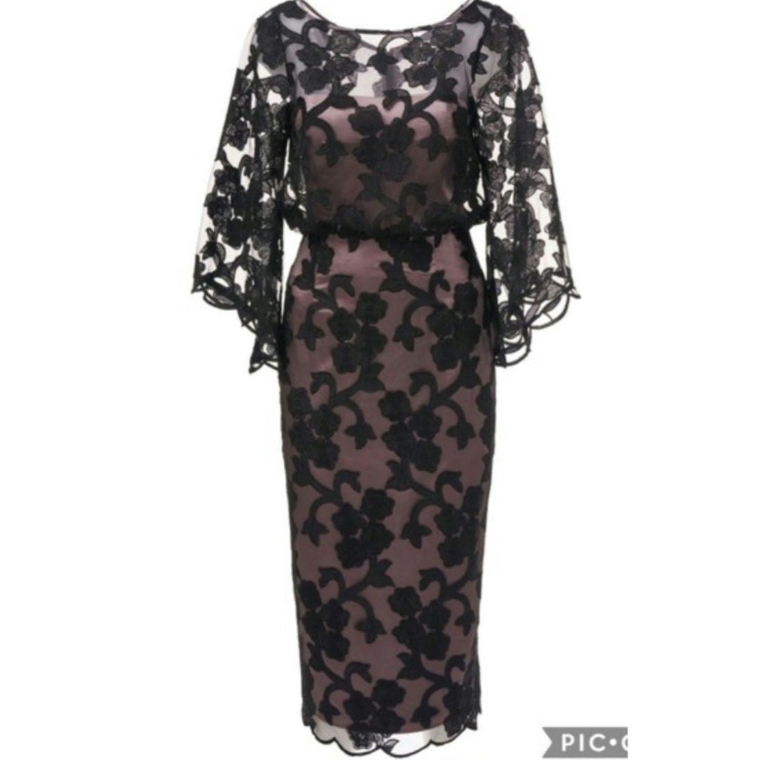 Anthropologie BHLDN JS Collection Sidonie Dress SIZE 6 Black/Nude Midi Anthropologie