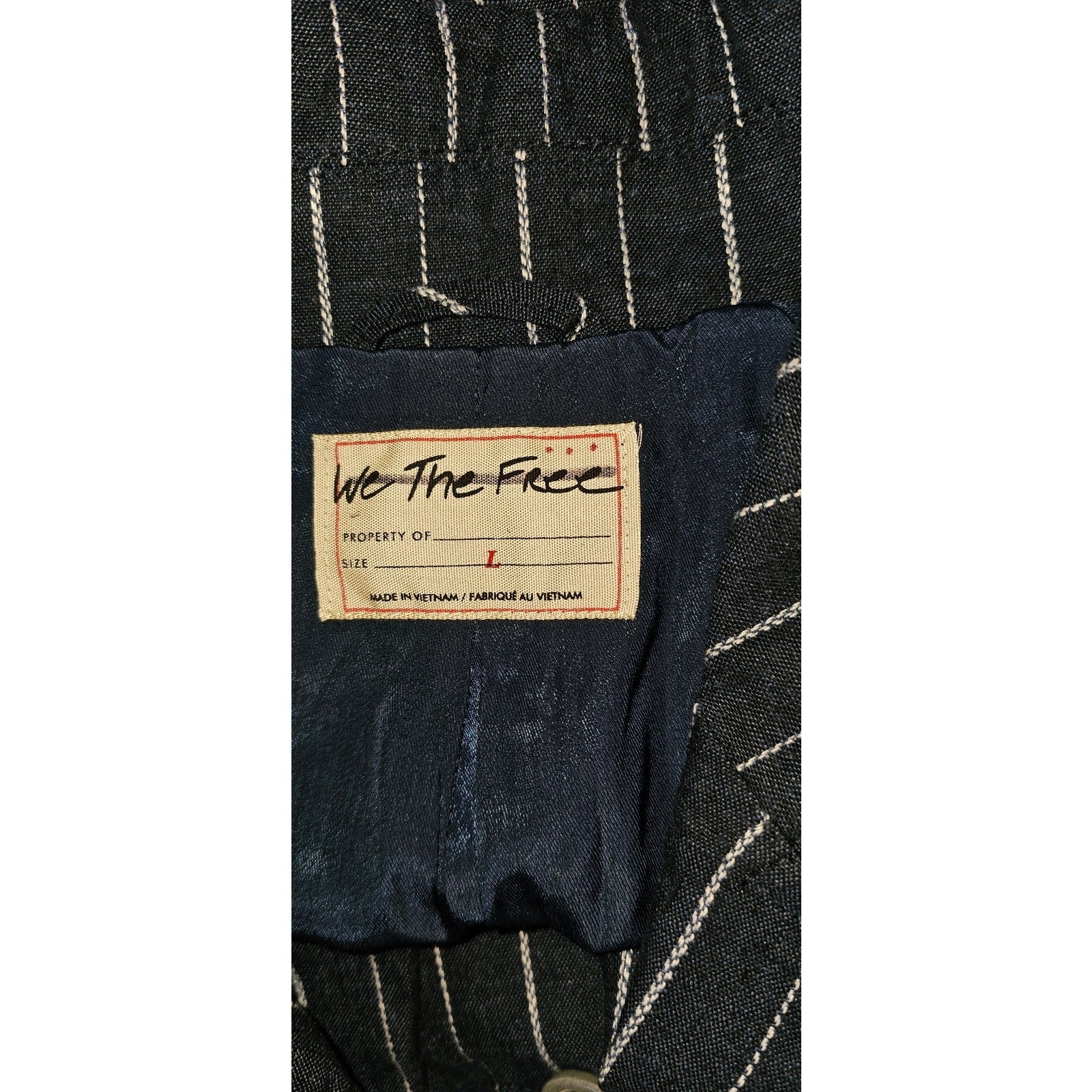 New Free People Melia Mac Coat WTF $228 LARGE Blue Striped Vintage-Inspired