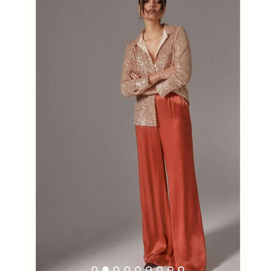 Anthropologie Sunday in Brooklyn Sequin Buttondown