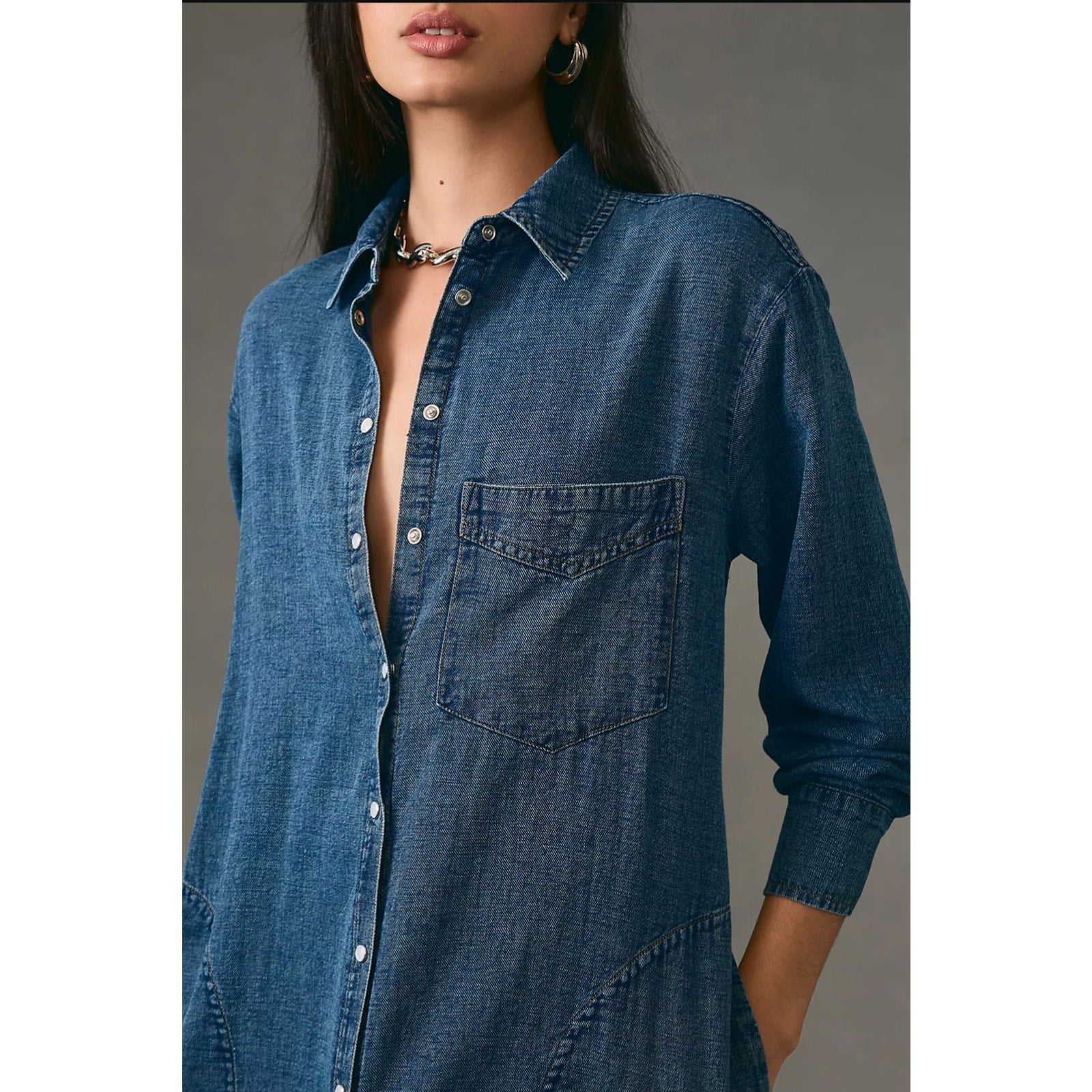 Anthropologie Pilcro Denim Long-Sleeve Buttondown Dress